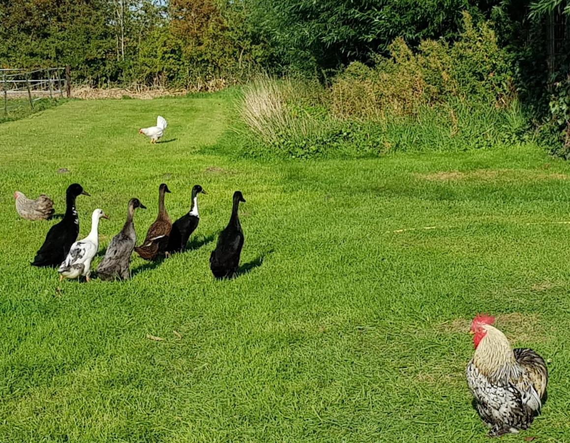 Hoeve Ruimzicht * Renesse