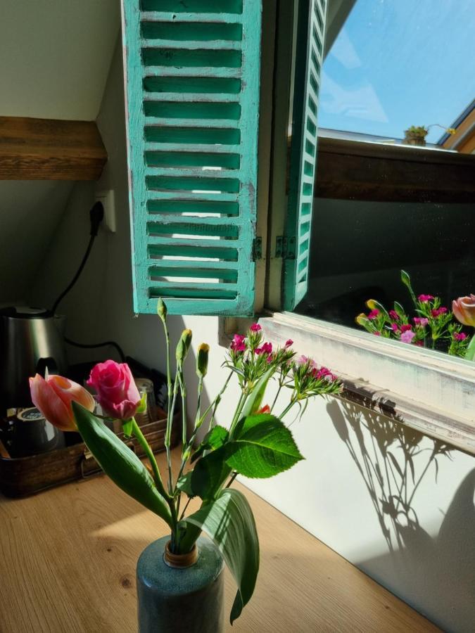 Hoeve Ruimzicht Renesse
